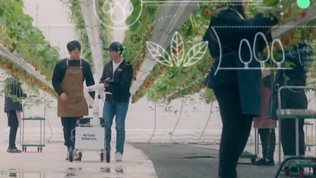 홍보영상 | 스마트팜 현장
